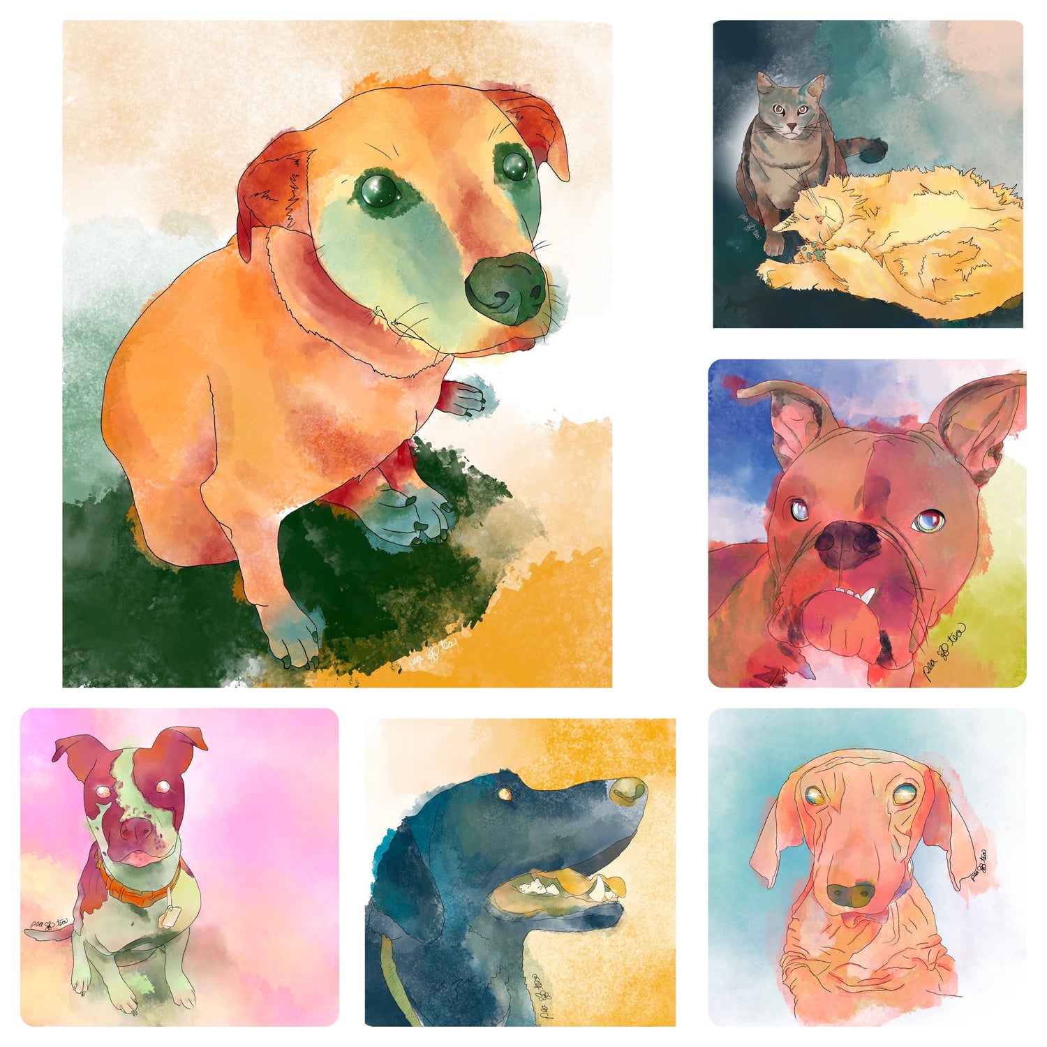 SYNESTHESIA PET PORTRAITS