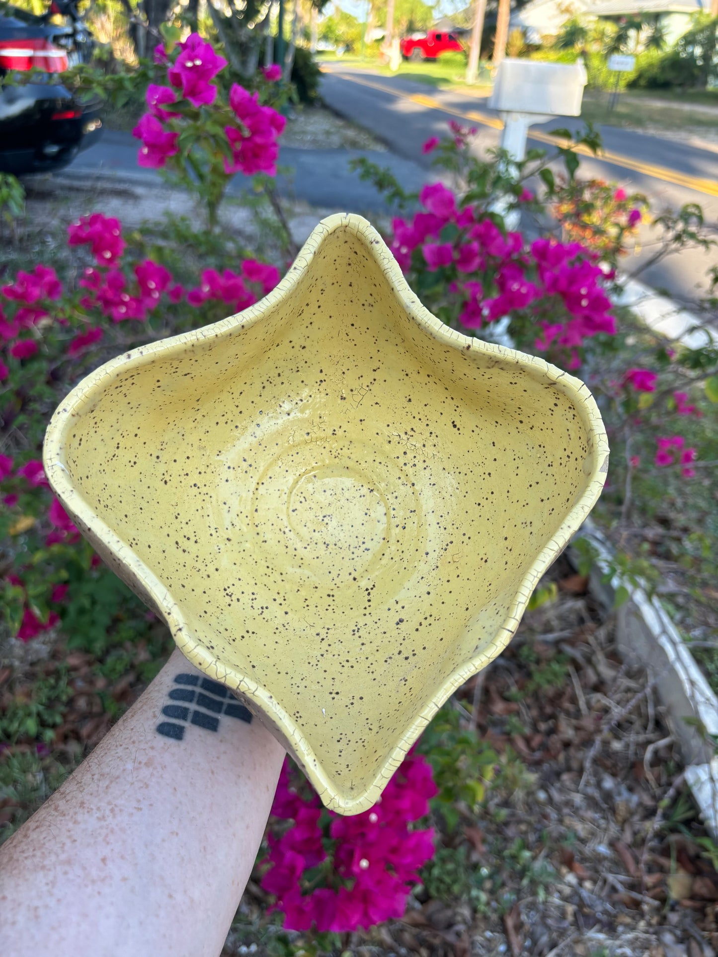 Speckled Bloodroot Vulva Bowl