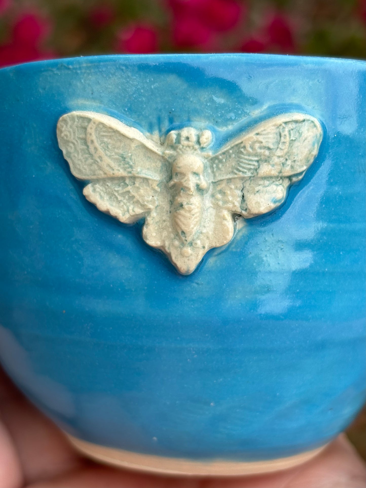 Cicada Marshmallow Creamer in Blue